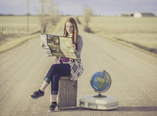 globe trotter, traveller, globe